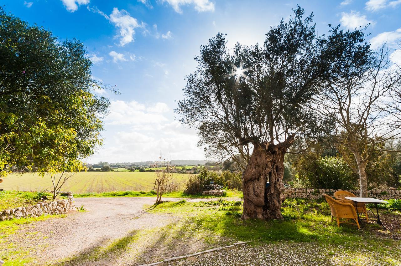 Sa Casa Rotja Villa Sineu  Dış mekan fotoğraf