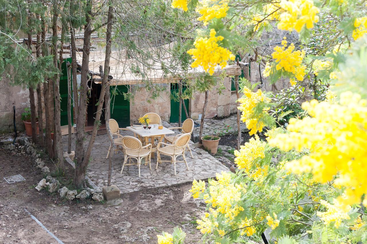 Sa Casa Rotja Villa Sineu  Dış mekan fotoğraf